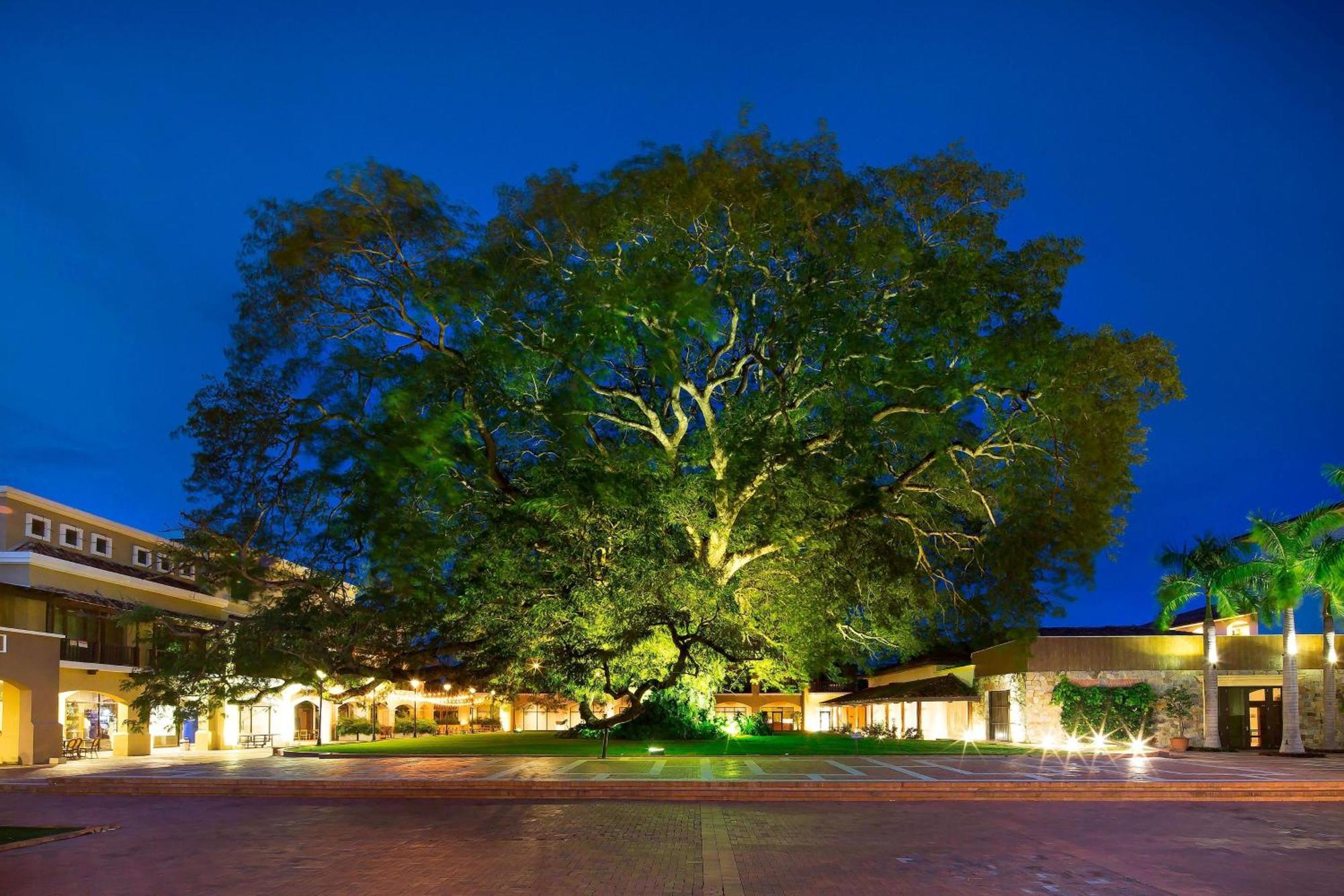The Buenaventura Golf & Beach Resort, Autograph Collection Río Hato Εξωτερικό φωτογραφία